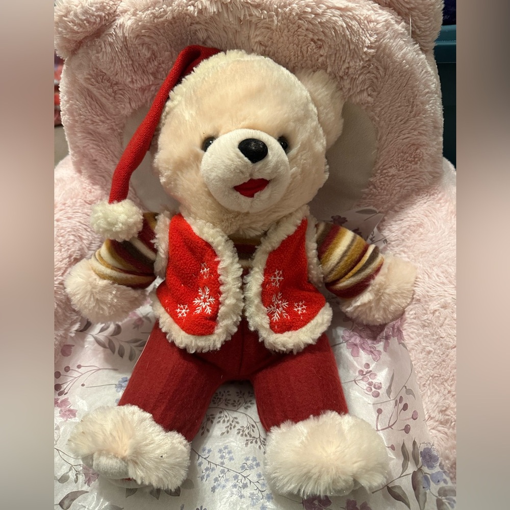 Walmart Teddy Bear Snowflake Teddy Boy 2010 Dan Dee Brown Bear Beige
